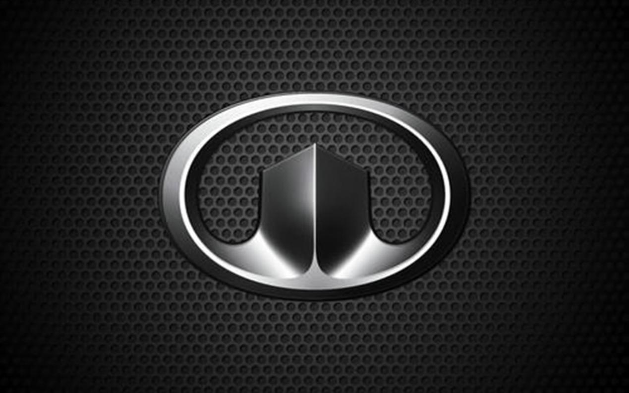 车市年终考将至!国产品牌年初定下的销售目标都完成了吗?(图6) 车市年终考将至!国产品牌年初定下的销售目标都完成了吗?(图6)